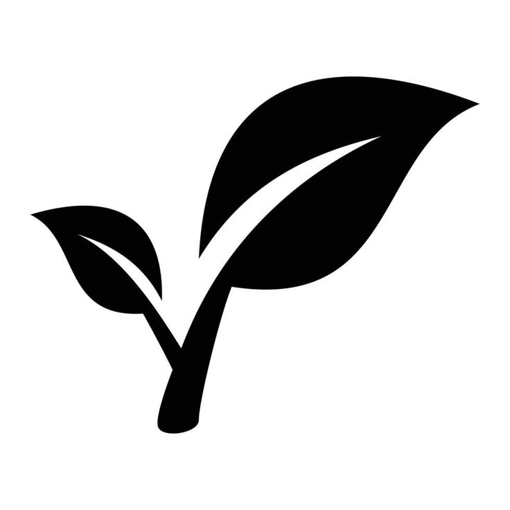taizi