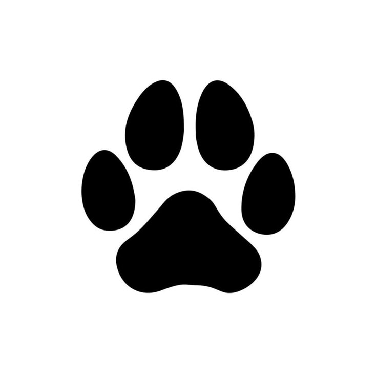 petsophobia